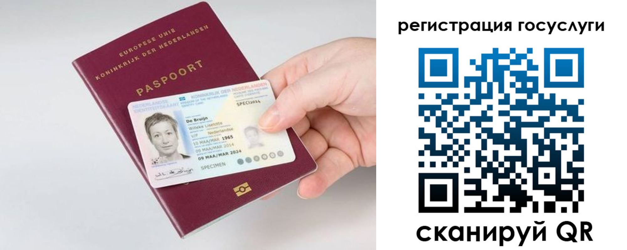 регистрация для дет. сада в Первомайске